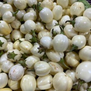 Fresh Garden Egg
