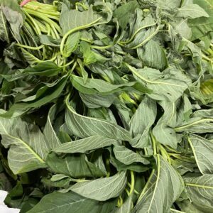 Fresh Green Leaf