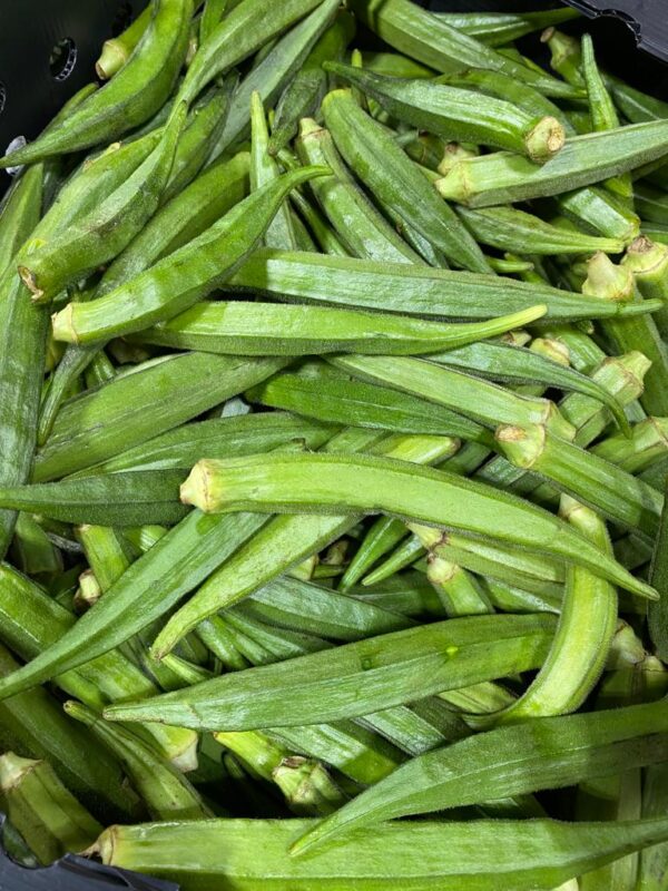 Fresh Okro