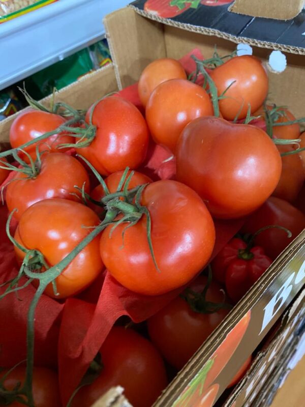 Fresh Tomatoes