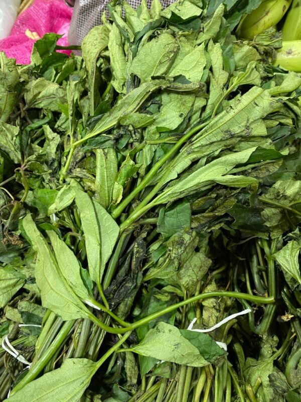 Fresh Ugu Leaf