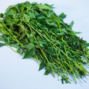 Ewedu