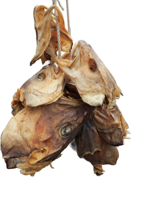 Okporoko(stockfish head)