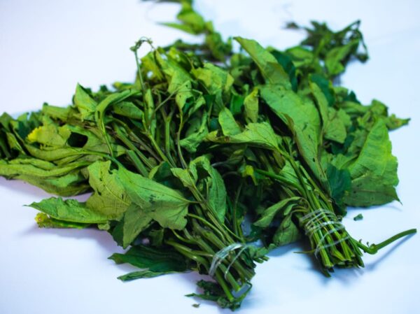 Fresh Ugu